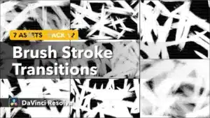 brush-stroke-transitions-pack-12-thumbnail