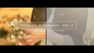 fcpx-lut-cinematic-volume-2