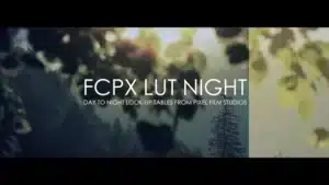 fcpx-lut-night