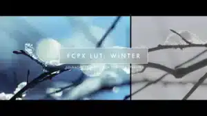 fcpx-lut-winter