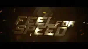 feel-for-speed