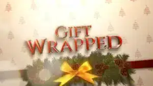 gift-wrapped