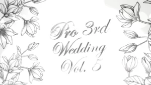 Pro3rd Wedding Volume 5