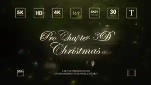 ProChapter 3D Christmas