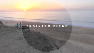 prointro-blend