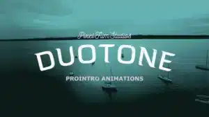 prointro-duotone