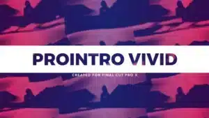 ProIntro Vivid