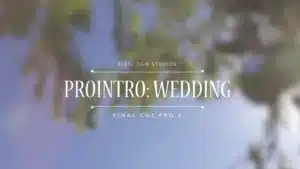 ProIntro Wedding
