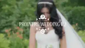 ProIntro Wedding Volume 2