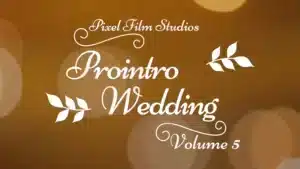 ProIntro Wedding Volume 5