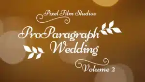proparagraph-wedding-volume-2