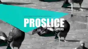 proslice-layers