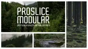 proslice-modular
