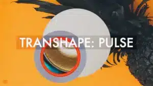 transhape-pulse