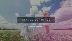 translice-hinge