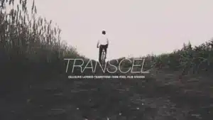 transcel