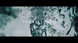 transclone-2