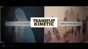 transflip-kinetic