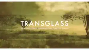 transglass