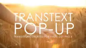 transtext-pop-up